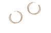 Like Nobody Else Earrings