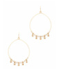 Shine On Earrings
