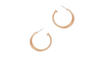 Words Will Never Know Earrings